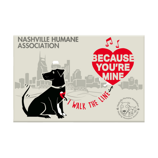 Walk the Line Magnet